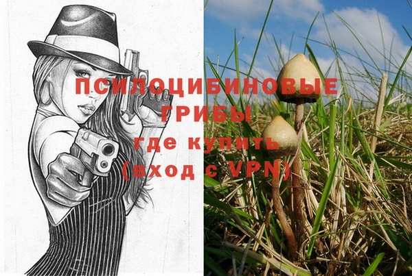 спиды Баксан