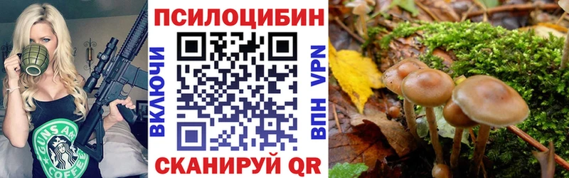 Галлюциногенные грибы GOLDEN TEACHER  как найти   Салаир 